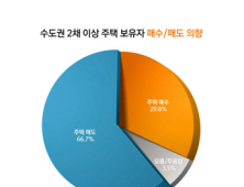 수도권 다주택자 66.7% 
