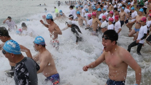 '이색' 해운대 북극곰 수영축제 4500명 참가