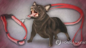 목줄 풀린 반려견…행인 4명 부상