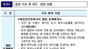 서울시, 부동산 불법행위 전담 수사팀 발족…무기한 단속