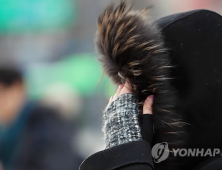 [오늘 날씨] 아침 기온 영하 15도…맹추위 기승