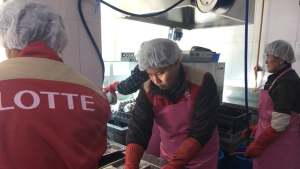 롯데건설 샤롯데봉사단, 전국 각지서 사회공헌 활동