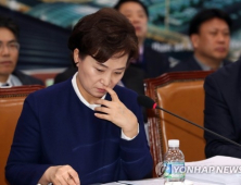 김현미 장관
