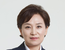 김현미 장관, 연천집 매각…양도세 중과 앞두고 다주택자 벗어나