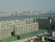 재건축 안전진단 강화에 '리모델링' 급부상…강남서 줄줄이 추진하나