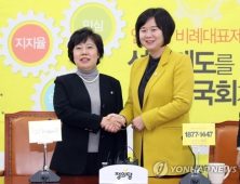 민평당, 정의당에 공동교섭단체 구성 공식 제안키로