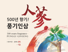 전시로 만나는 영주 풍기인삼의 500년