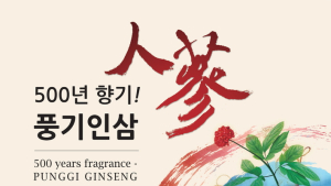 전시로 만나는 영주 풍기인삼의 500년