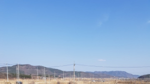 의성군, 폭설피해농가 일손 돕기 나서