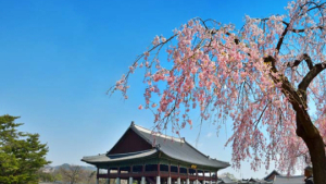 문화재청 내달 1일부터, ‘경회루 특별관람’ 실시…26일 첫 사전 예약