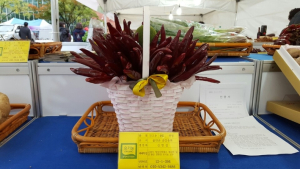 경북도, 올해 친환경농업 집중 육성