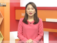 [이연진기자의 톡톡 부동산] 피할 수 없게 된 양도세 중과 시행…다주택자, 남은 선택은?