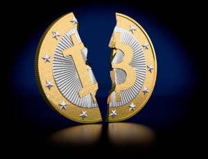 중국인 이주여성 수천 명 상대로 투자사기 일당 검거