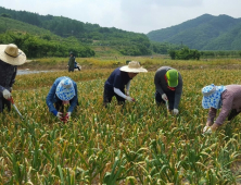농번기 일손 지원… 경북 농촌인력지원센터 운영