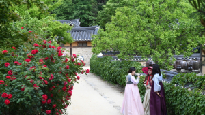 봄 여행주간, 영주에 가면 설레나 봄