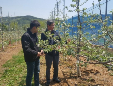 군위군, “개화기 저온피해 대비하세요”