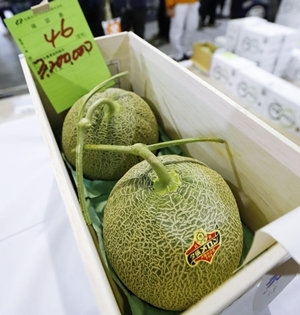 <사진=연합뉴스>