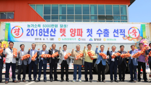 함양양파, 올해 첫 수출길 올라…대만·일본에 수출