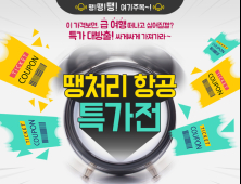 '일본 편도 운임 9150만원'…에어서울, 땡처리 항공권 방출
