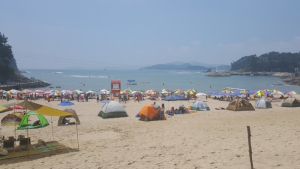 사천 남일대해수욕장 7월 7일 개장