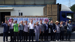 하동 생산 ‘단호박’ 전량, 일본 수출