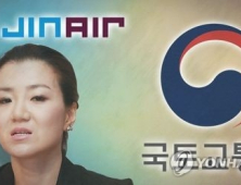 면허 취소· 최대 2년 유예 … 진에어, 운명 이번주 결정될 듯