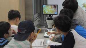 국립과천과학관, 스토리텔링 형태 ‘여름방학 특별 교육프로그램’ 수강생 모집