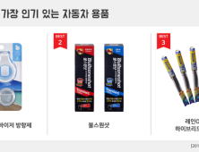 여름 휴가철 가장 인기 있는 자동차 용품은?… 1위 '방향제'