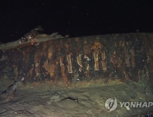 러시아 전문가들