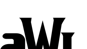 오크 원탑 ‘린’ 박준, AWL 시즌2 우승…대회 2연속 석권
