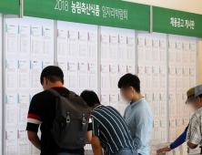 고령화 시대 노인 취업 비중 급상승… 청년은 반토막