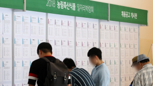 고령화 시대 노인 취업 비중 급상승… 청년은 반토막