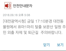 대전동물원 탈출한 퓨마, 인근 주민 불안 증폭