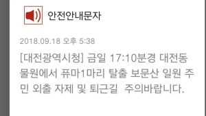 대전동물원 탈출한 퓨마, 인근 주민 불안 증폭