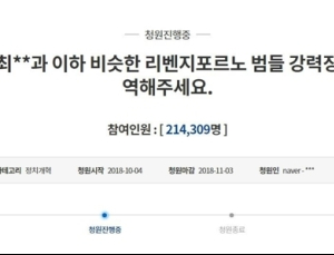 '리벤지 포르노 강력처벌' 청와대 국민청원 20만명 넘어