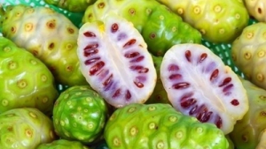 미란다 커도 주스로 마신 '노니' 관심 급증…효능은?