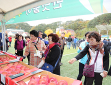 무주군 ‘사과골 무풍면민의 날’ 행사 개최