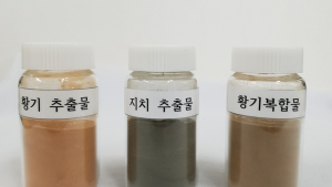 농진청, “황기복합물로 관절을 튼튼하게”