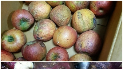 '썩은 음식 먹이고 원산지 속이기까지'…전주 유치원 나쁜 급식 '논란' [단독]