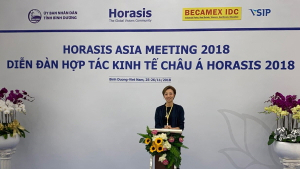 베트남서 'Horasis Asia meeting' 열려… W재단 이유리 대표 참석