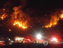 양양 산불로 5ha 타고 145명 대피…진화 작업 난항