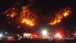 양양 산불로 5ha 타고 145명 대피…진화 작업 난항