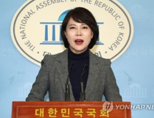 카카오, 카풀 시범 서비스 중단…與 “택시업계 응답해야” vs 野 “사죄 먼저”