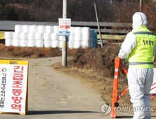 안성 한우 농가 또 구제역 확진…설 연휴 확산 우려
