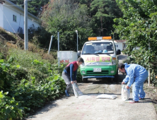 평택 산란계 농장서 고병원성 AI 확진