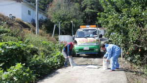  평택 산란계 농장서 고병원성 AI 확진