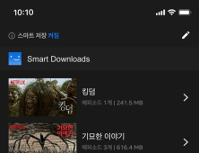 [IT 단신] 넷플릭스, 인스타그램