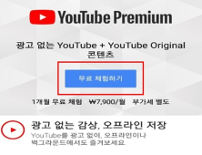 “유튜브 프리미엄 유료 전환 과정 논란”…방통위 조사 착수