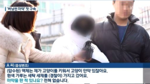 '버닝썬' 중국인 MD 애나
