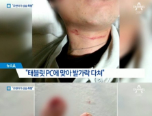 조현아 남편 박씨, 고성 담긴 동영상 2건 공개 